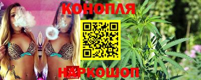 гидра Лесосибирск