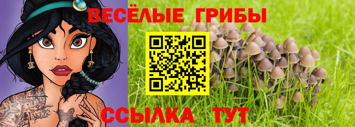 Выборг  Галлюциногенные грибы мухоморы  магазин    Вход с VPN 